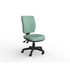 Nova 3 Luxe Highback Task Chair