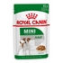 ROYAL CANIN Starter Mousse Mother & Babydog (12x 195g)