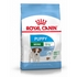 ROYAL CANIN Medium Adult in Gravy Wet Dog Food