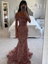 Brown Sheath One Shoulder Sleeveless Long Sweep Train Velvet Sequin Prom Dress (AF1101)