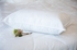 100% Wool Pillow - Made in NZ