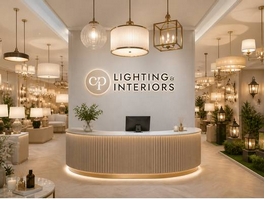 https://cplights.com/collections/ceiling-lights website