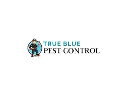 https://truebluepestcontrol.com.au/sydney/commercial-industrial-pest-control/ website